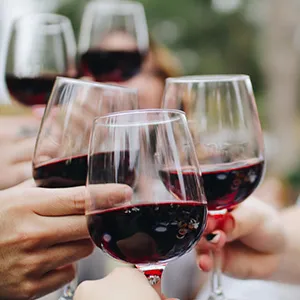 Hjemmebrygging og vinproduksjon