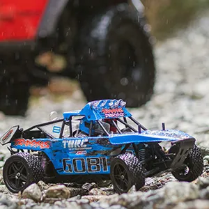 Radiokontrollerte leker